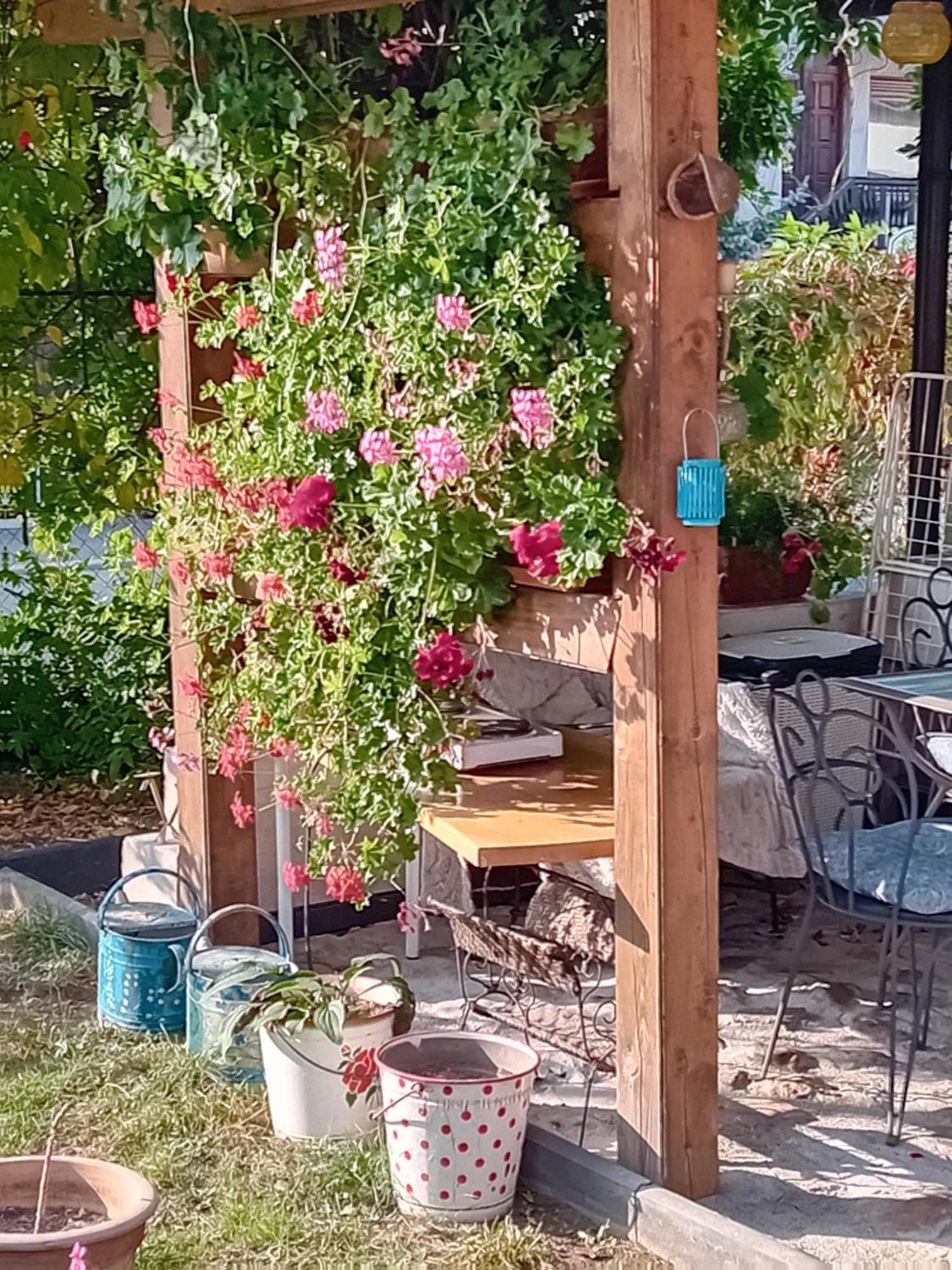 Rose Room 40M2 With Terrace 25M2 In Greeny Area For 4 Person Любляна Экстерьер фото