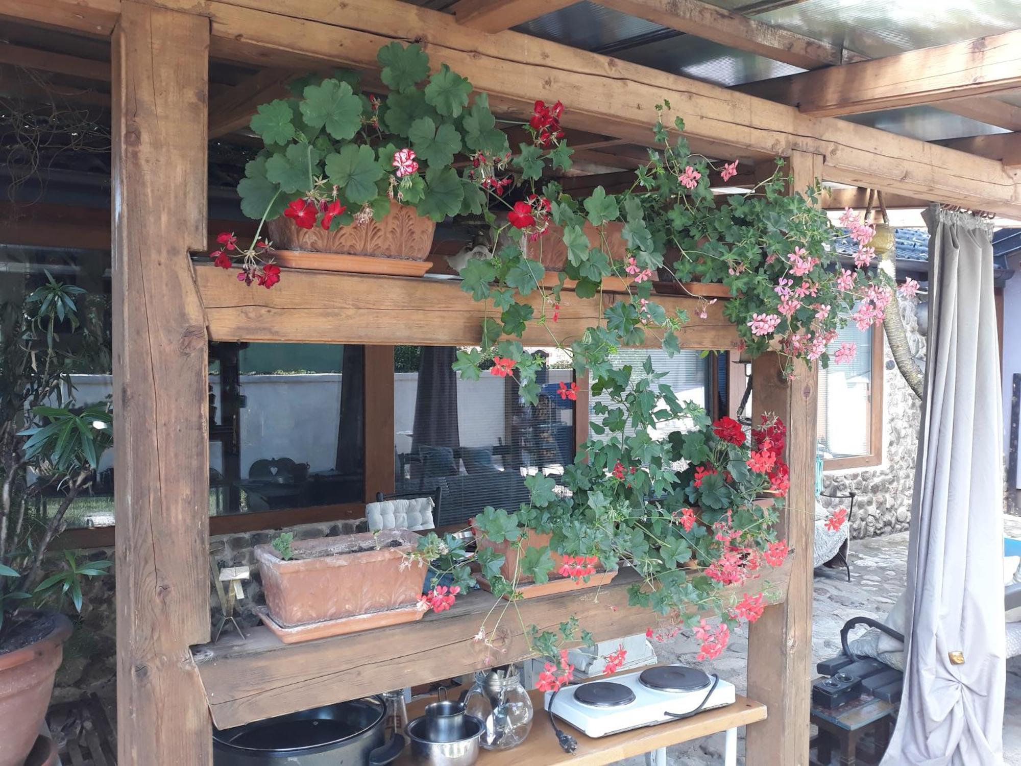 Rose Room 40M2 With Terrace 25M2 In Greeny Area For 4 Person Любляна Экстерьер фото