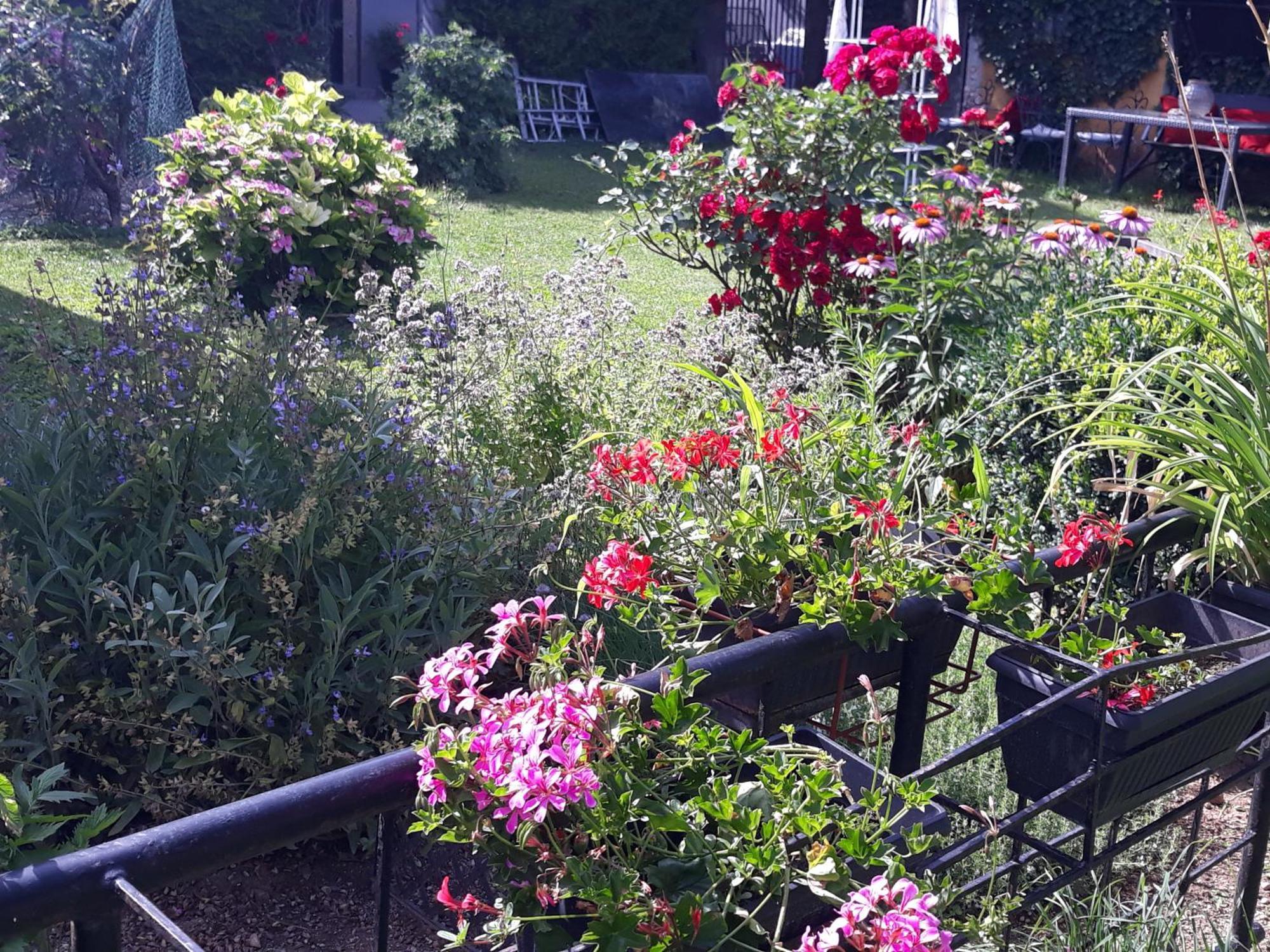 Rose Room 40M2 With Terrace 25M2 In Greeny Area For 4 Person Любляна Экстерьер фото