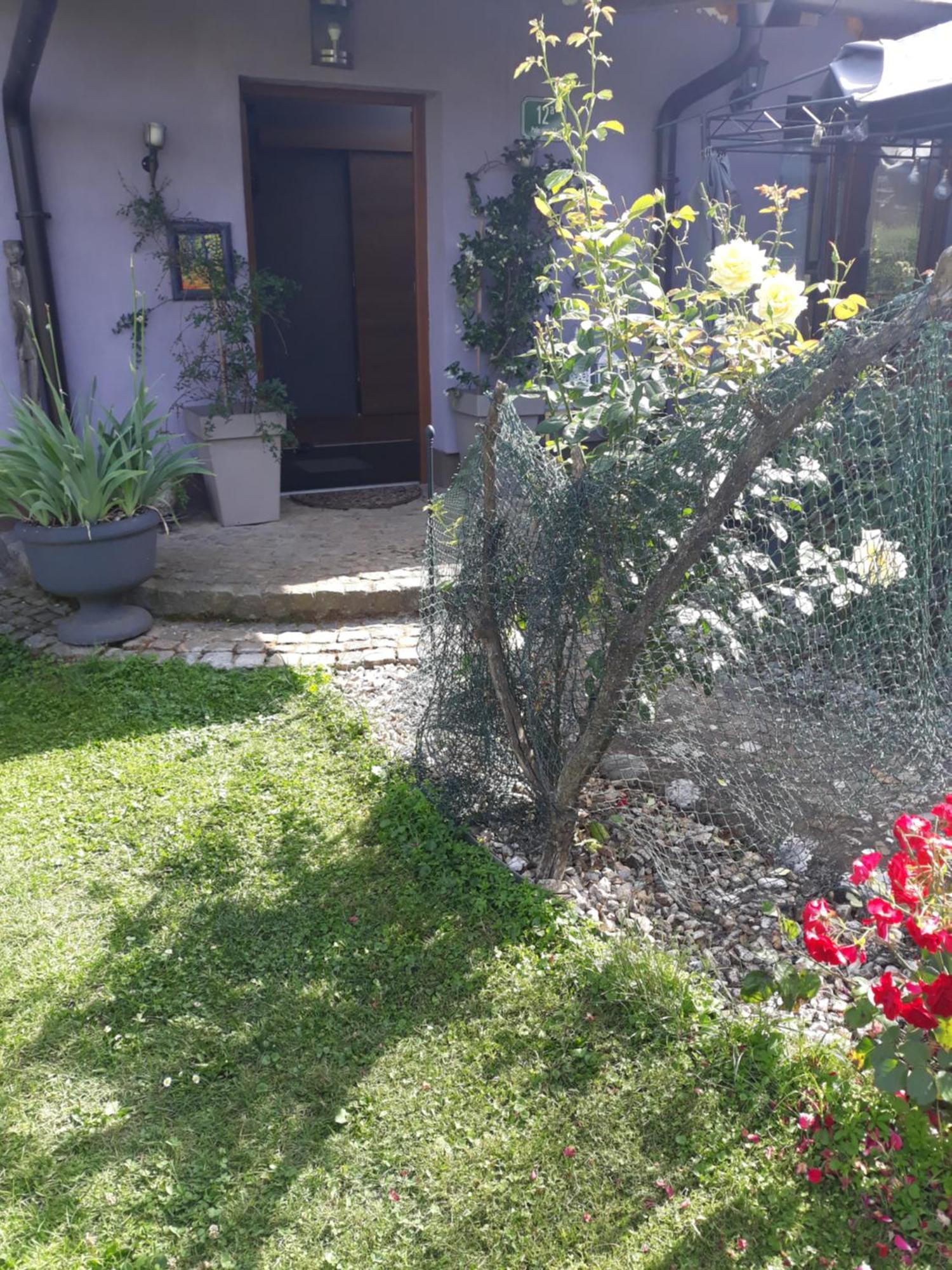 Rose Room 40M2 With Terrace 25M2 In Greeny Area For 4 Person Любляна Экстерьер фото