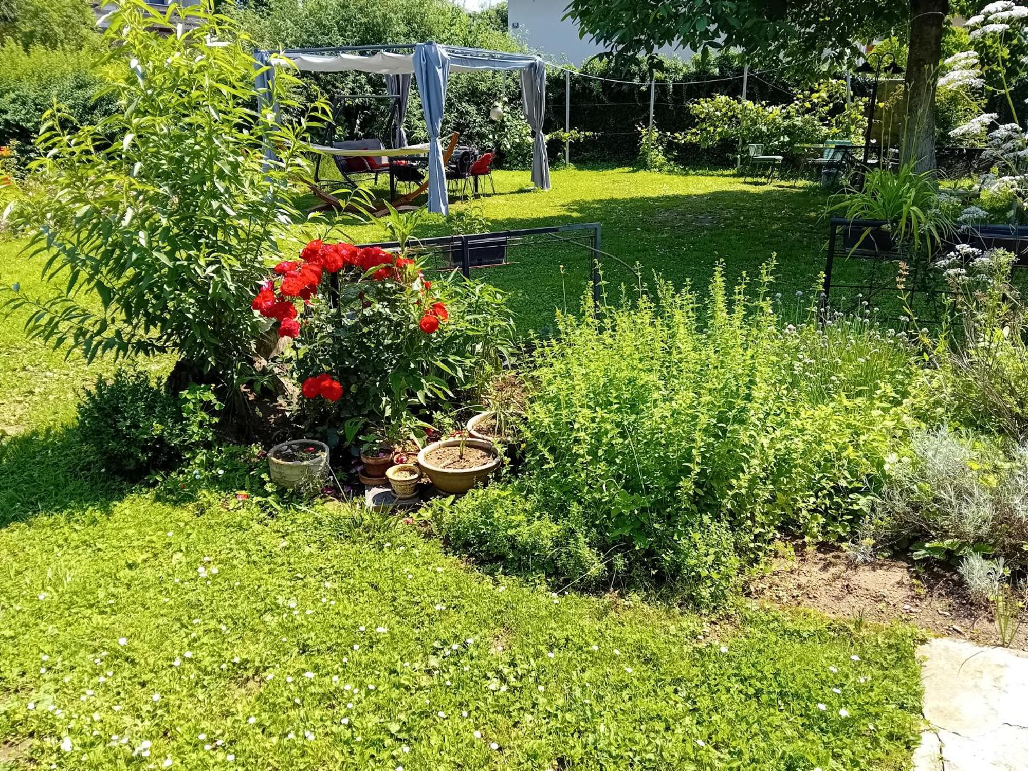 Rose Room 40M2 With Terrace 25M2 In Greeny Area For 4 Person Любляна Экстерьер фото