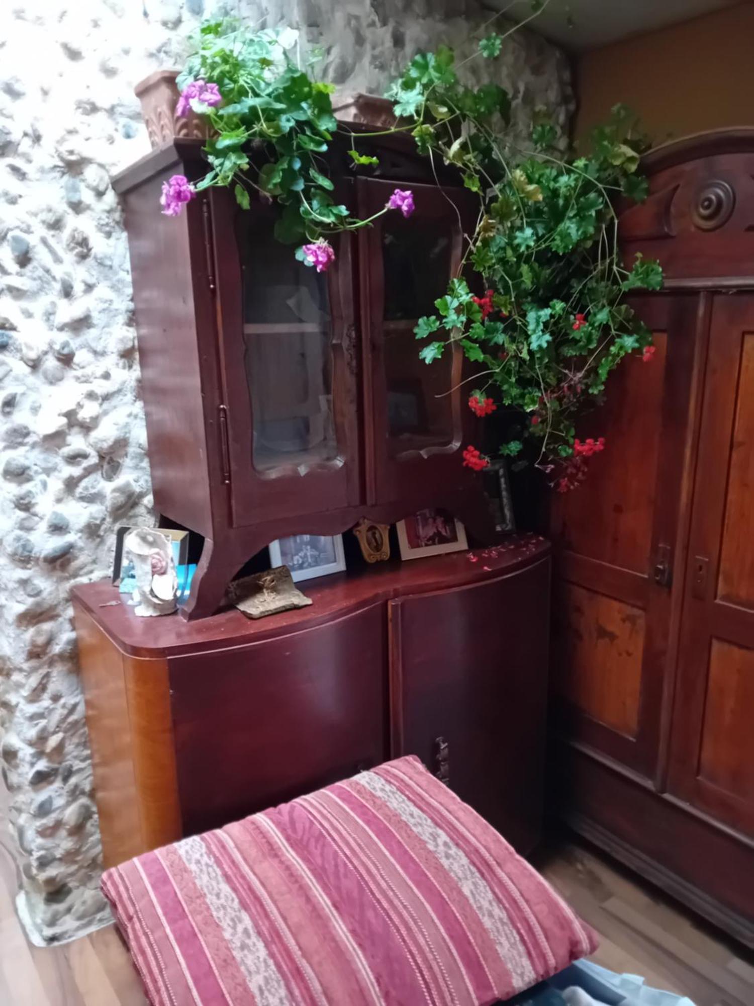 Rose Room 40M2 With Terrace 25M2 In Greeny Area For 4 Person Любляна Экстерьер фото