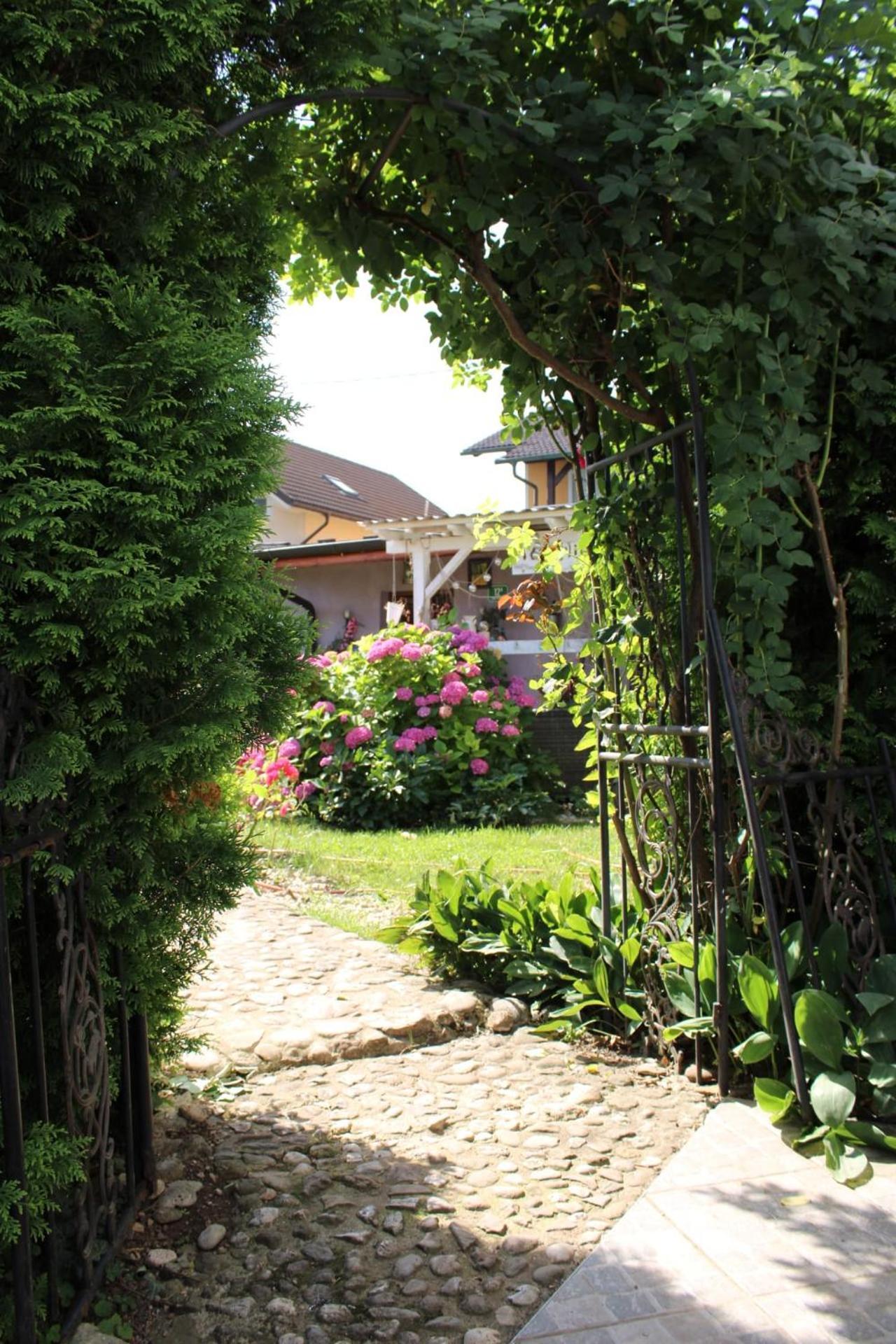 Rose Room 40M2 With Terrace 25M2 In Greeny Area For 4 Person Любляна Экстерьер фото